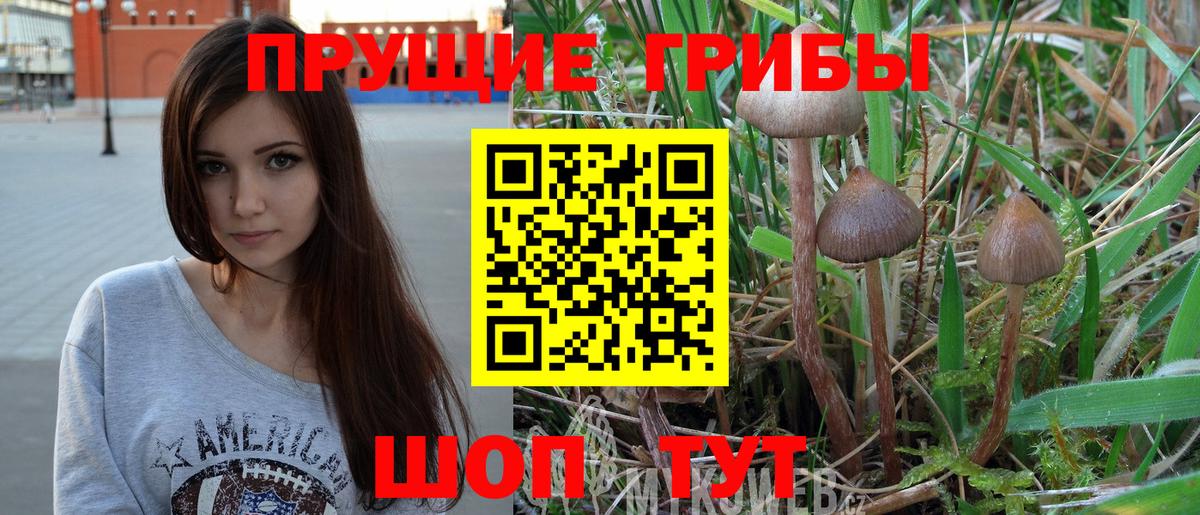 Губаха  Галлюциногенные грибы MAGIC MUSHROOMS  Вход с VPN  Галлюциногенные грибы Cubensis 