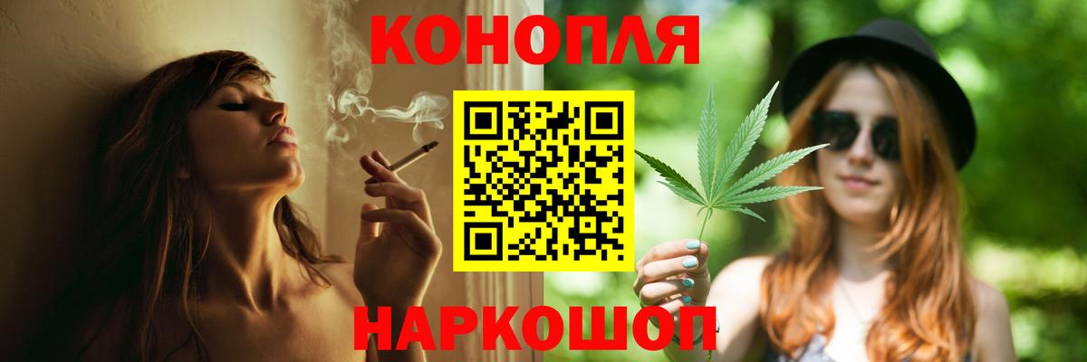 Бошки марихуана сатива  Вход с VPN  Губаха  Бошки Шишки марихуана  Марихуана ГИДРОПОН 